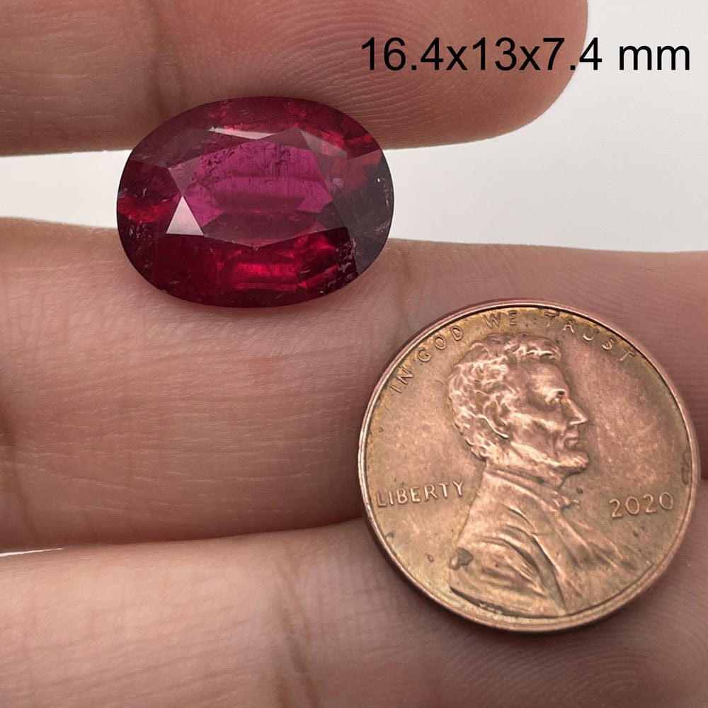 A hand holds a 9.54 carat, 16.4x13.0 mm premium oval Rubellite Tourmaline next to a 2020 U.S. penny for scale, with the gemstone’s dimensions shown in the top right corner.