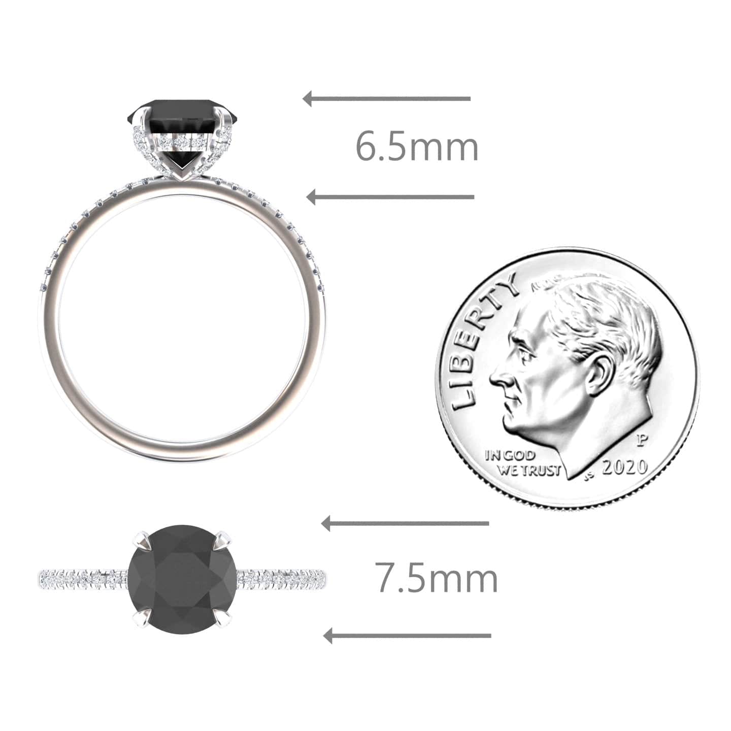 Round Hidden Halo Certified Natural Black Diamond Pave Engagement Ring - Tamara