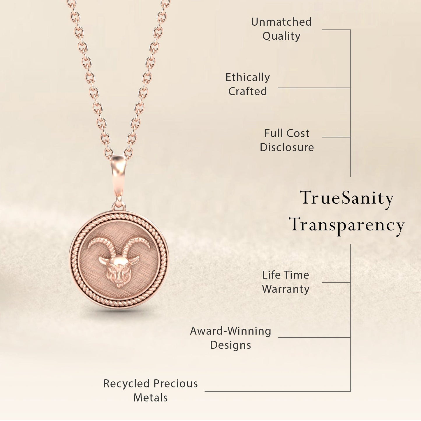 Capricorn Zodiac Medallion Necklace - Cynthia