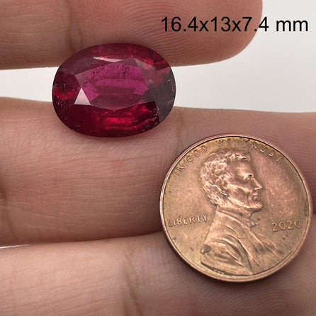 A hand holds a 9.54 carat, 16.4x13.0 mm premium oval Rubellite Tourmaline next to a 2020 U.S. penny for scale, with the gemstone’s dimensions shown in the top right corner.