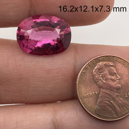 An 8.91 carat oval rubellite tourmaline (16.2 x 12.1 mm) rests on fingertips beside a U.S. penny for scale, showing off its vibrant pink hue and premium faceting.